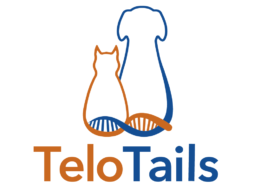 Telotails LLC